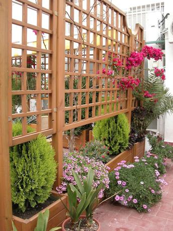 Imagen de los exteriores del Hotel Hostal Agustí. Foto 19