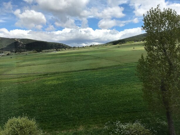 Imagen de la habitación del Hotel Hostal Alto Tajo. Foto 11