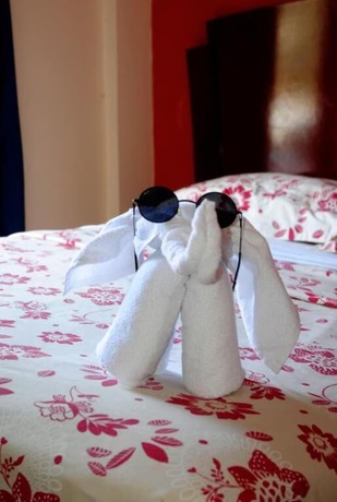 Imagen de la habitación del Hotel Hostal Antares. Foto 15