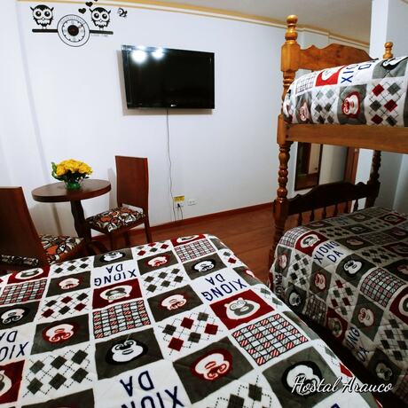 Imagen de la habitación del Hotel Hostal Arauco. Foto 13