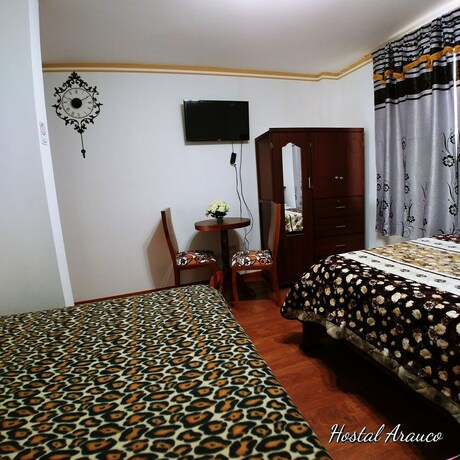 Imagen general del Hotel Hostal Arauco. Foto 10