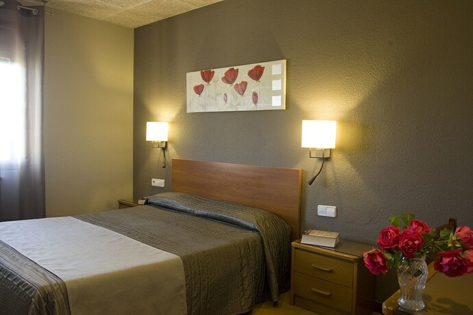 Imagen general del Hotel Hostal Barris. Foto 4