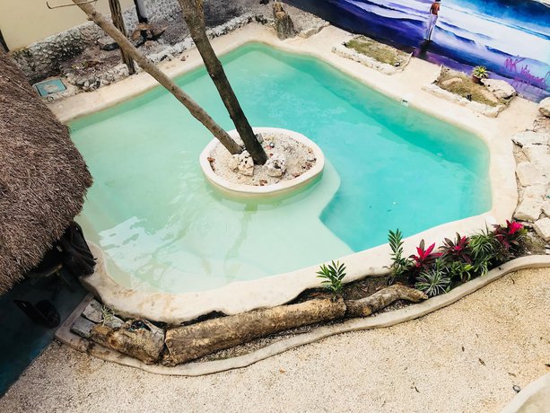 Imagen de la piscina del Hotel Hostal Boutique. Foto 10
