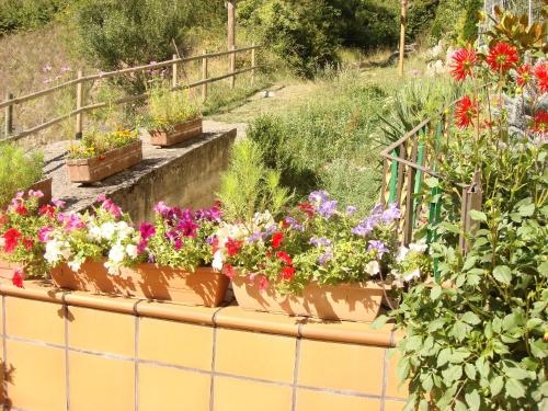 Imagen general del Hotel Hostal Carme Pascual. Foto 2