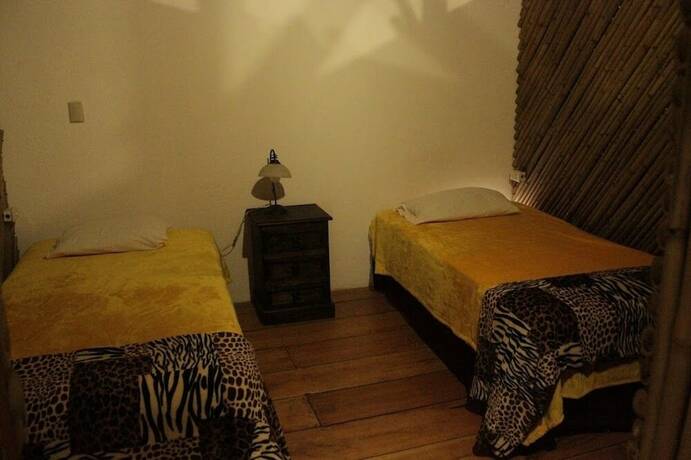 Imagen de la habitación del Hotel Hostal Casa Buho. Foto 13