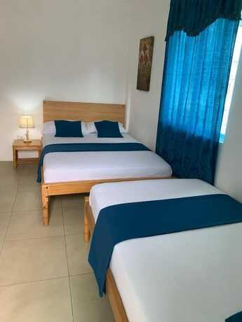 Imagen de la habitación del Hotel Hostal Casa Latina. Foto 13