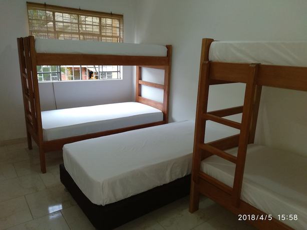 Imagen de la habitación del Hotel Hostal Casa Primavera - Hostel. Foto 14