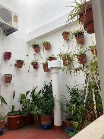 Imagen de la habitación del Hotel Hostal Costa Sol. Foto 7