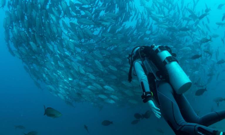 Imagen general del Hotel Hostal Costa Sol. Foto 4