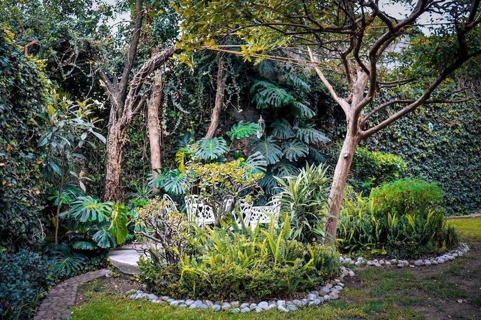 Imagen de los interiores del Hotel Hostal Cuija Coyoac&aacute;n. Foto 16