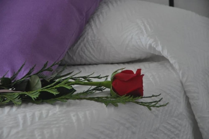 Imagen de la habitación del Hotel Hostal El Levante. Foto 5