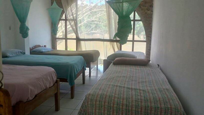 Imagen general del Hotel Hostal El Lobo - Adults Only - Hostel. Foto 5