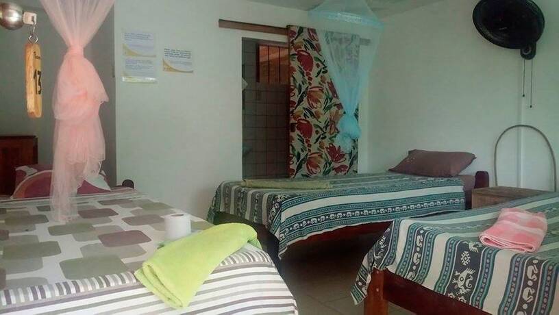 Imagen de la habitación del Hotel Hostal El Lobo - Adults Only - Hostel. Foto 20
