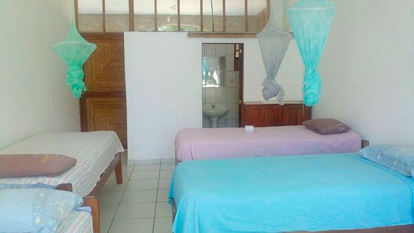 Imagen general del Hotel Hostal El Lobo - Adults Only - Hostel. Foto 11