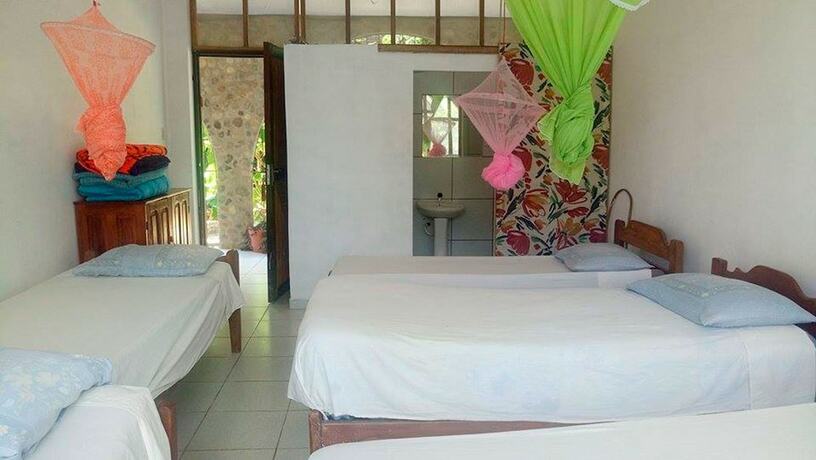 Imagen general del Hotel Hostal El Lobo - Adults Only - Hostel. Foto 12