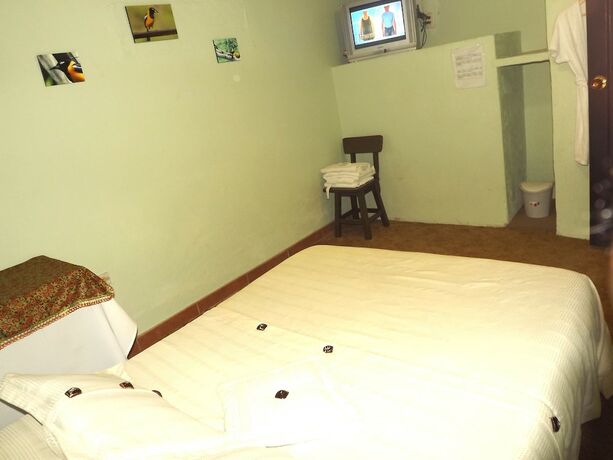 Imagen general del Hotel Hostal El Zorzal. Foto 7