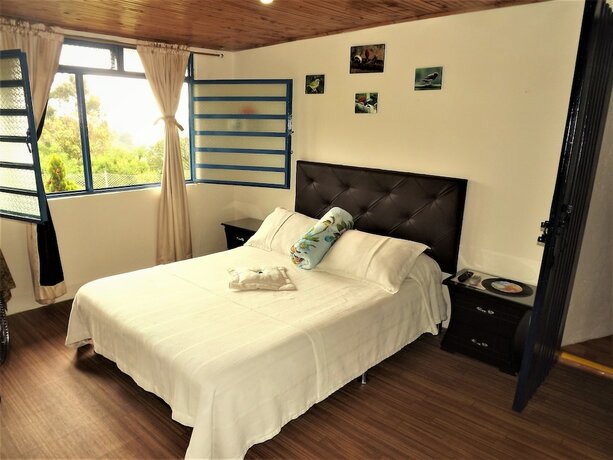 Imagen de la habitación del Hotel Hostal El Zorzal. Foto 20