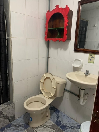 Imagen de la habitación del Hotel Hostal Flying Donkey. Foto 4
