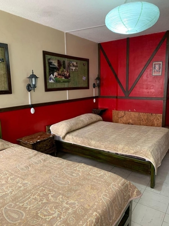 Imagen de la habitación del Hotel Hostal Flying Donkey. Foto 5