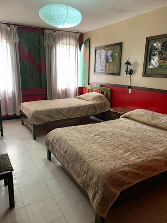Imagen de la habitación del Hotel Hostal Flying Donkey. Foto 13