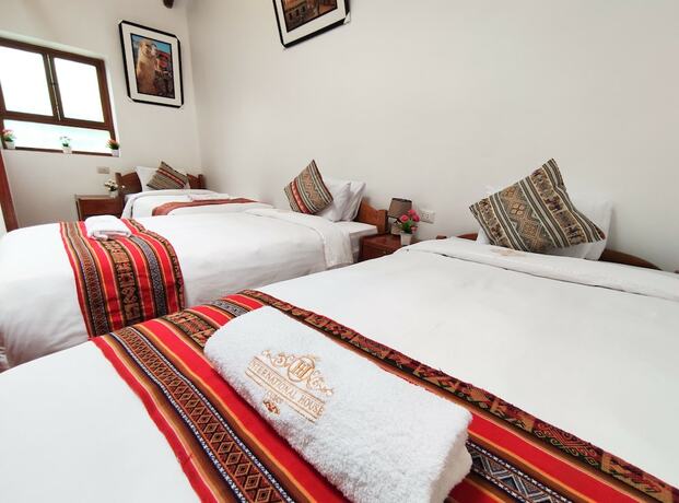 Imagen de la habitación del Hotel Hostal International House Cusco. Foto 19
