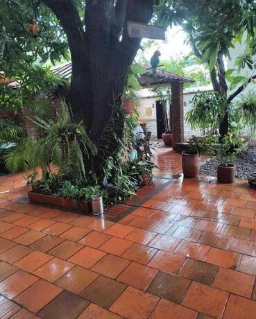 Imagen general del Hotel Hostal La Casona Vieja. Foto 6