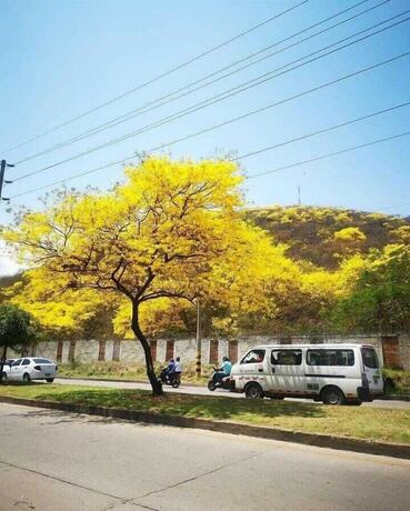 Imagen general del Hotel Hostal La Casona Vieja. Foto 9