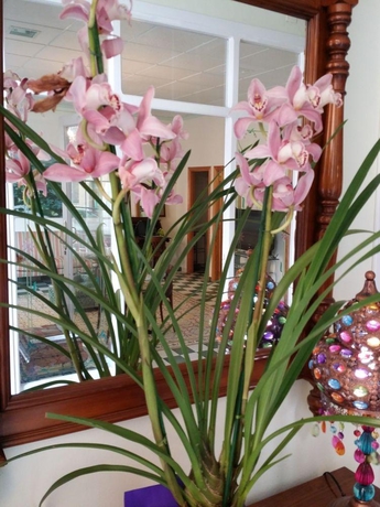 Imagen general del Hotel Hostal La Fonda. Foto 2