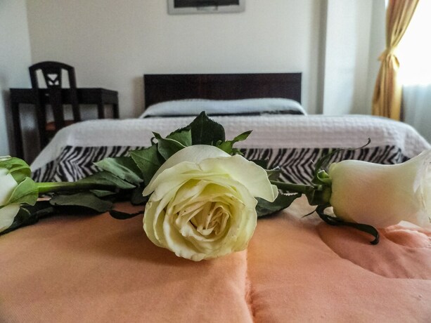 Imagen general del Hotel Hostal La Rosa Otavalo. Foto 10