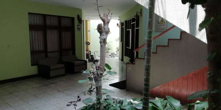 Imagen general del Hotel Hostal Las Orqu&iacute;deas. Foto 8