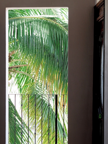 Imagen de los interiores del Hotel Hostal Los Gonzalez. Foto 16