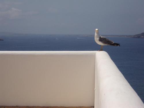 Imagen general del Hotel Hostal Marblau Ibiza. Foto 12