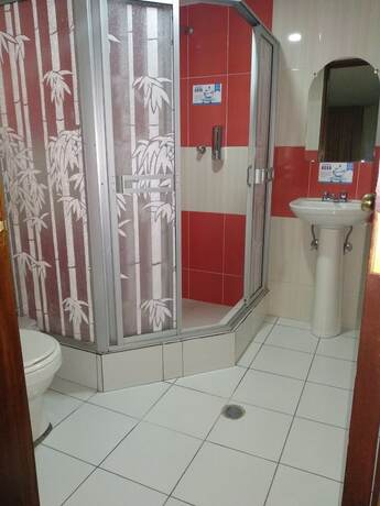 Imagen de la habitación del Hotel Hostal Oro Orense. Foto 18