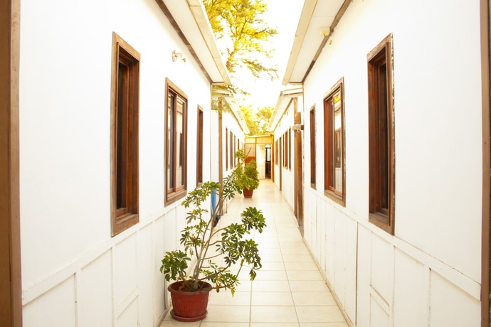 Imagen de los interiores del Hotel Hostal Plaza Carrera. Foto 12