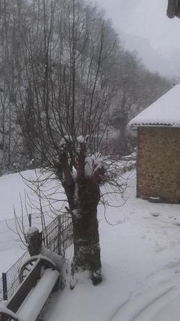 Imagen de los exteriores del Hotel Hostal Puente Deva. Foto 18