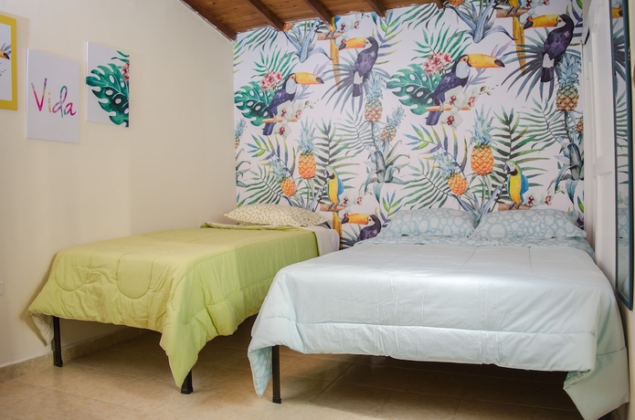 Imagen de la habitación del Hotel Hostal Pura Vida La 70. Foto 3