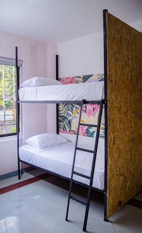 Imagen de la habitación del Hotel Hostal Pura Vida La 70. Foto 10