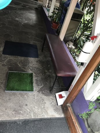 Imagen de los interiores del Hotel Hostal Santa Cruz Backpackers. Foto 19