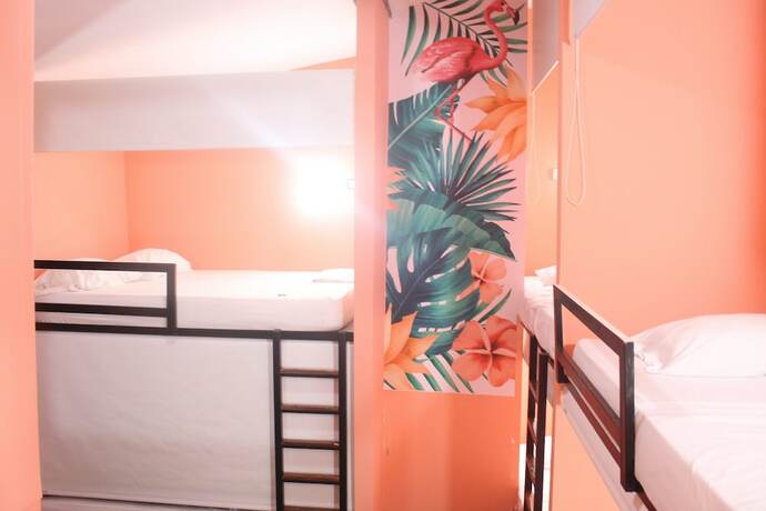 Imagen general del Hotel Hostal Seven Nights Cartagena - Hostel. Foto 4