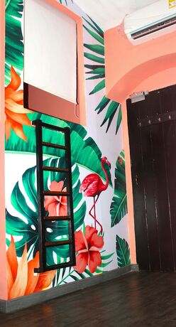 Imagen general del Hotel Hostal Seven Nights Cartagena - Hostel. Foto 9