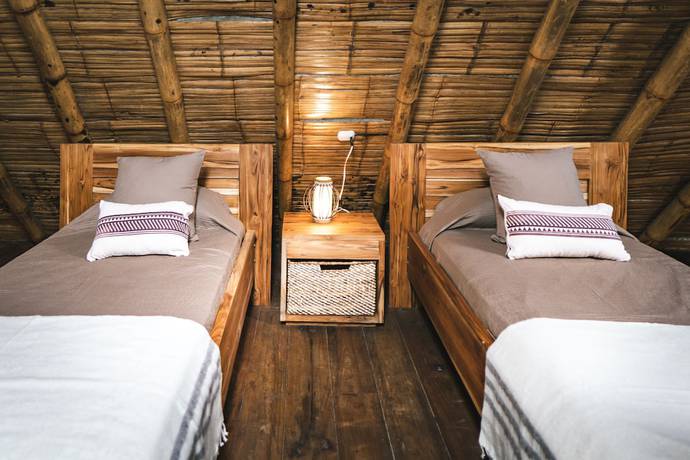 Imagen de la habitación del Hotel Hostal Tiki Limbo. Foto 14