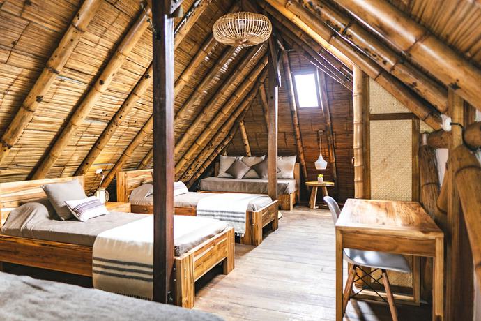 Imagen de la habitación del Hotel Hostal Tiki Limbo. Foto 15