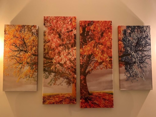 Imagen de los interiores del Hotel Hostal Torreblanca and Nuevo Eco Urbión. Foto 10