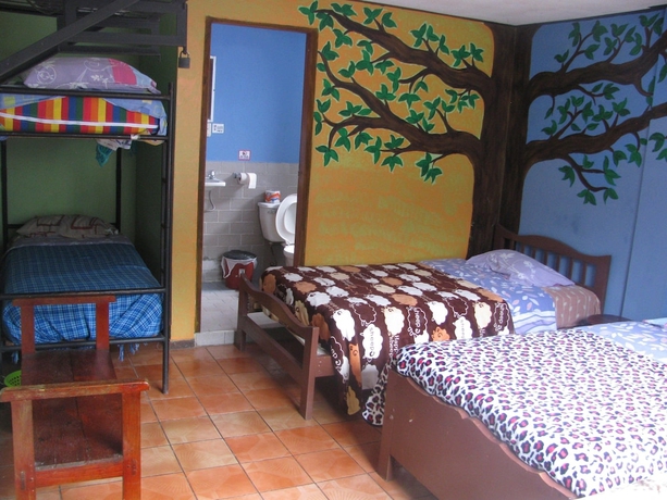Imagen de la habitación del Hotel Hostal Transilvania. Foto 8