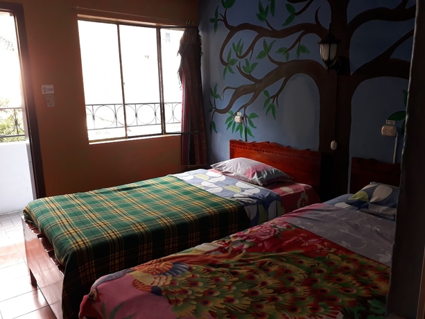 Imagen de la habitación del Hotel Hostal Transilvania. Foto 12