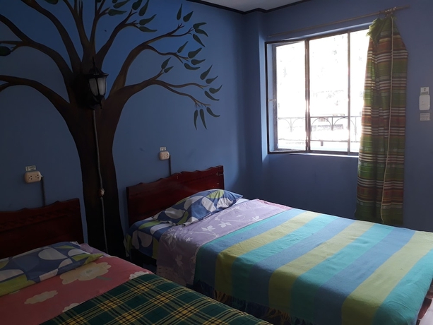 Imagen de la habitación del Hotel Hostal Transilvania. Foto 13