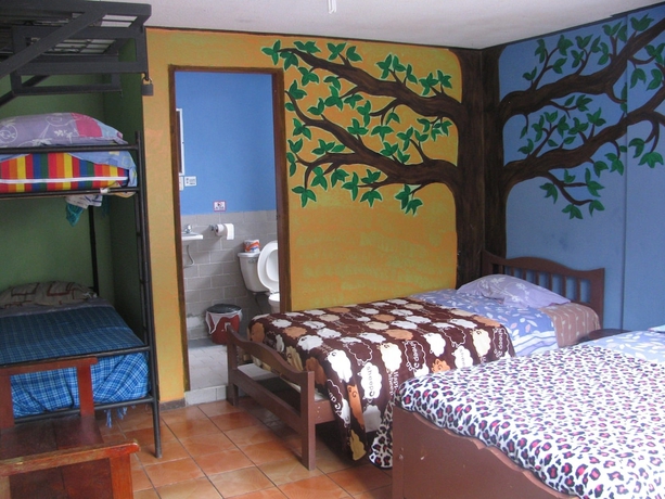 Imagen de la habitación del Hotel Hostal Transilvania. Foto 18
