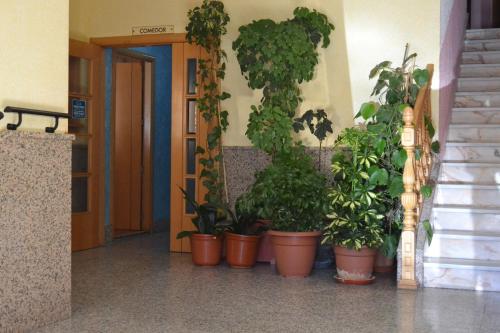 Imagen general del Hotel Hostal Vadillo. Foto 14