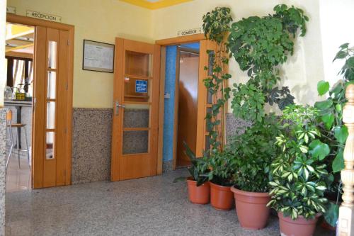 Imagen general del Hotel Hostal Vadillo. Foto 16