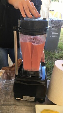 Imagen general del Hotel Hostal Vall d\'Aneu. Foto 14